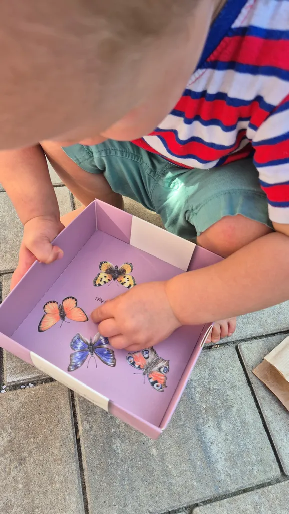 Puzzle 4 motyle